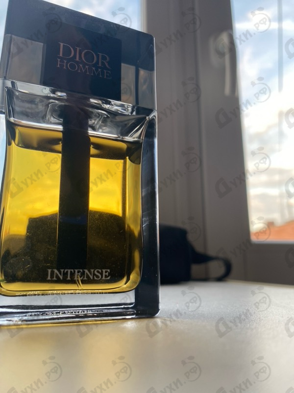 Купить Homme Intense от Christian Dior