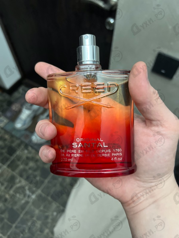 Купить Original Santal от Creed