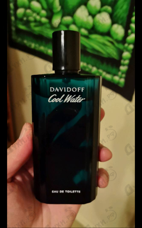 Парфюмерия Cool Water от Davidoff