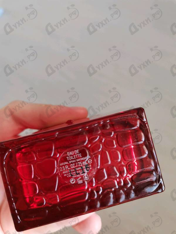 Парфюмерия Guess Seductive Red