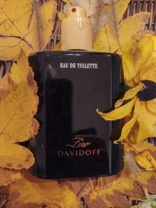 Купить Zino от Davidoff