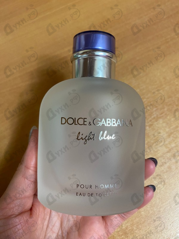 Купить Dolce & Gabbana Light Blue