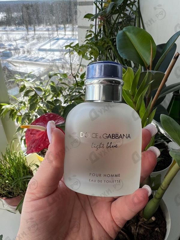 Духи Light Blue от Dolce & Gabbana