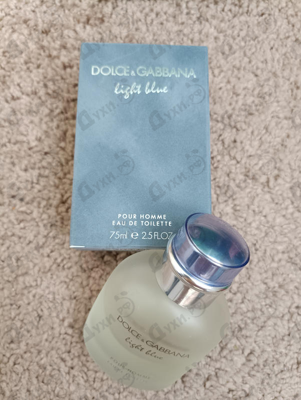 Купить Light Blue от Dolce & Gabbana