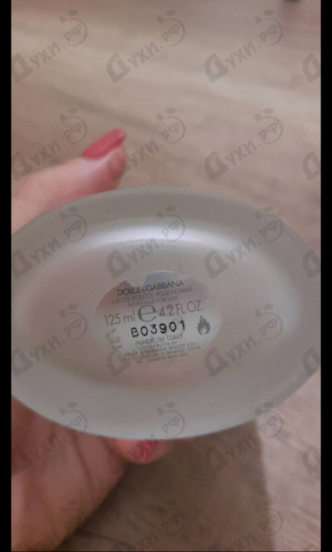 Купить Light Blue от Dolce & Gabbana