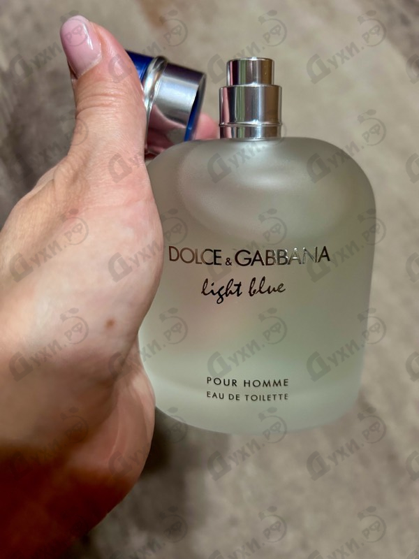 Купить Dolce & Gabbana Light Blue