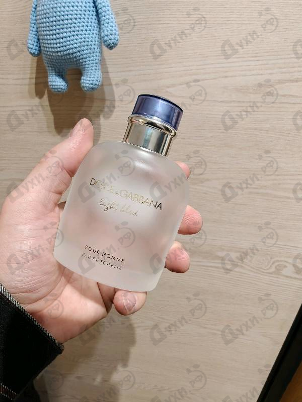 Парфюмерия Dolce & Gabbana Light Blue