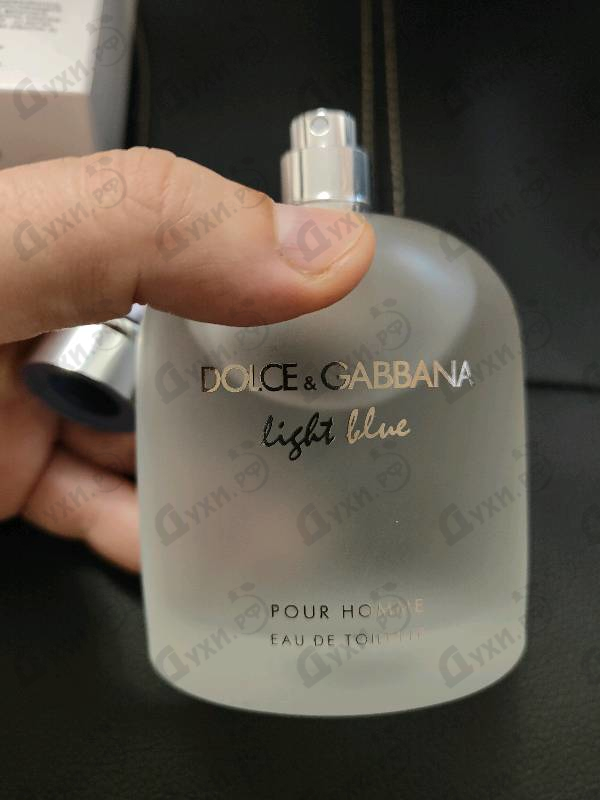 Купить Light Blue от Dolce & Gabbana