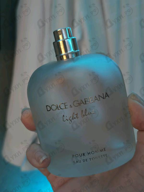 Купить Dolce & Gabbana Light Blue