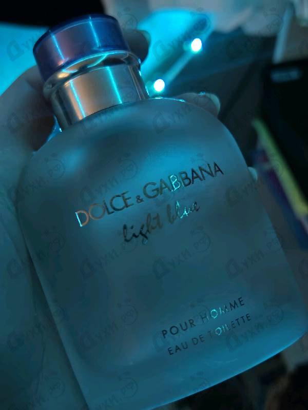 Отзыв Dolce & Gabbana Light Blue