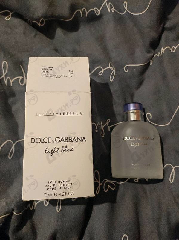 Купить Light Blue от Dolce & Gabbana