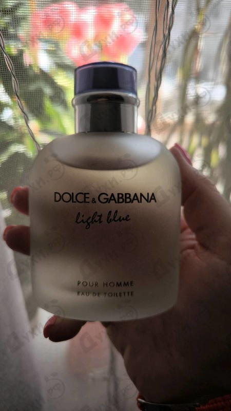 Парфюмерия Light Blue от Dolce & Gabbana