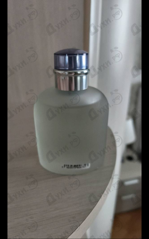 Купить Light Blue от Dolce & Gabbana