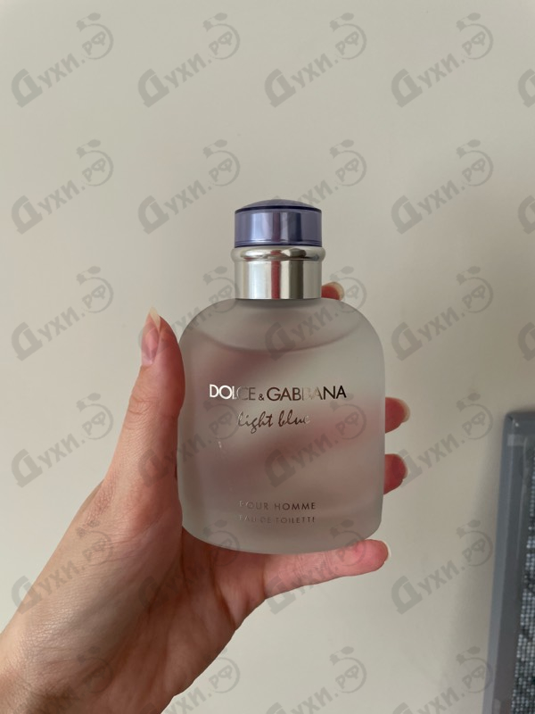 Купить Light Blue от Dolce & Gabbana