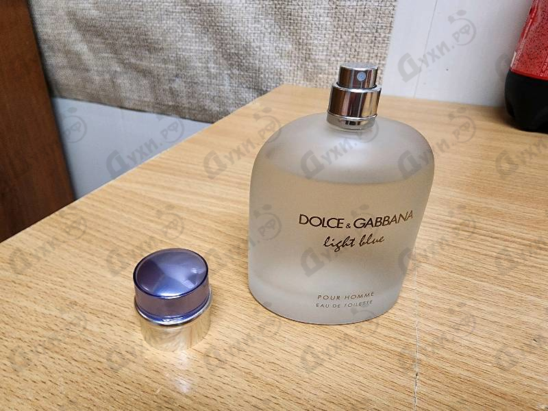Купить Light Blue от Dolce & Gabbana