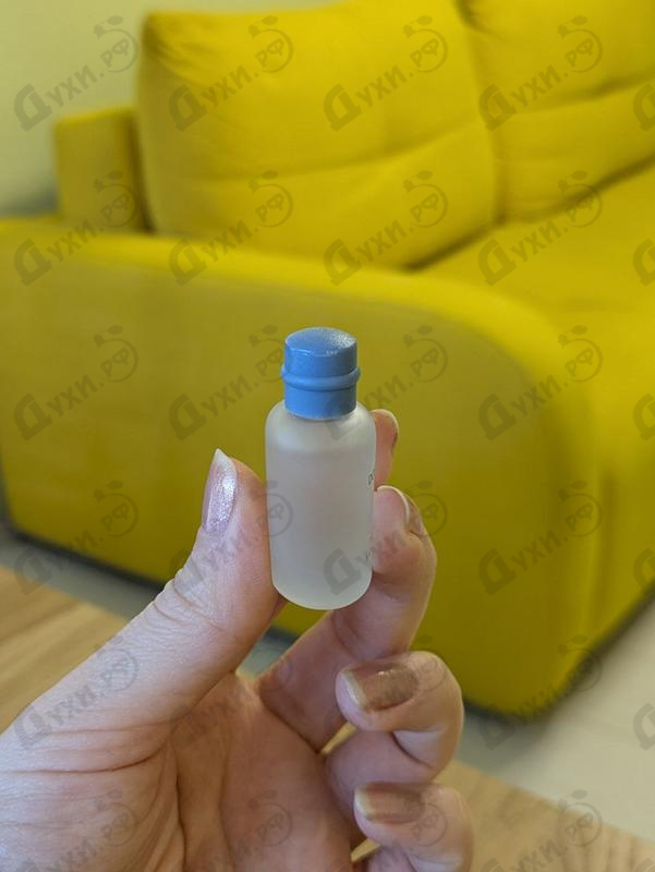 Парфюмерия Light Blue от Dolce & Gabbana