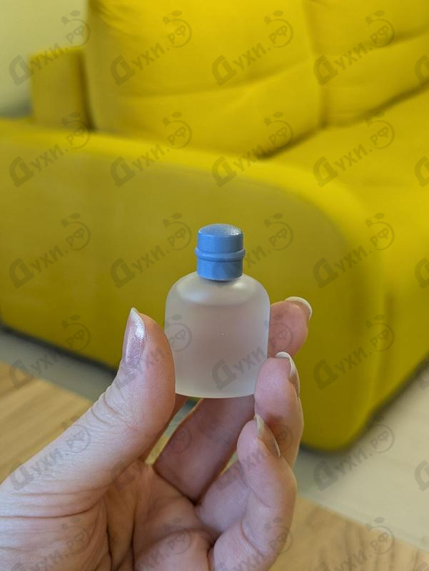 Отзыв Dolce & Gabbana Light Blue