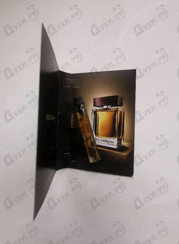 Купить Dolce & Gabbana The One