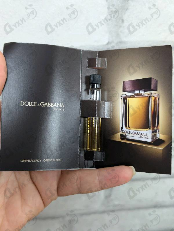 Купить Dolce & Gabbana The One