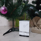 Отзывы Dolce & Gabbana The One