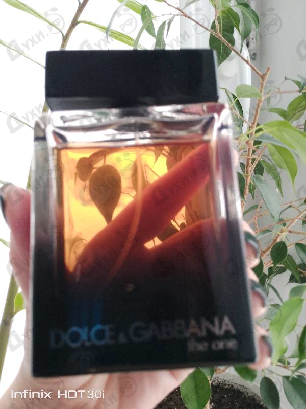 Купить The One от Dolce & Gabbana