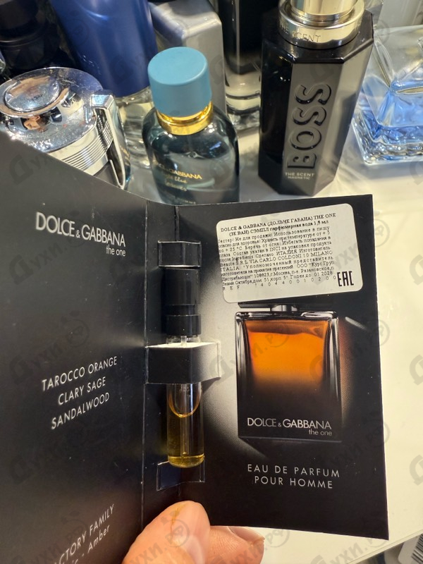 Купить Dolce & Gabbana The One