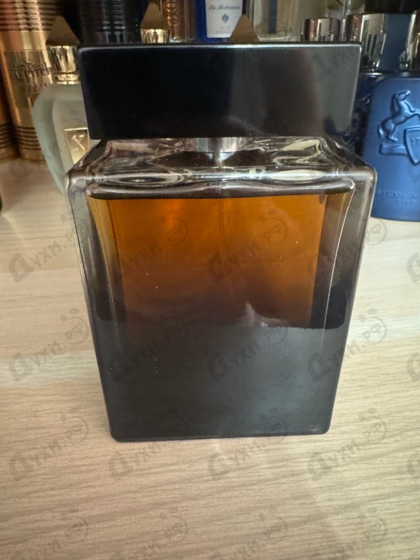 Купить The One от Dolce & Gabbana