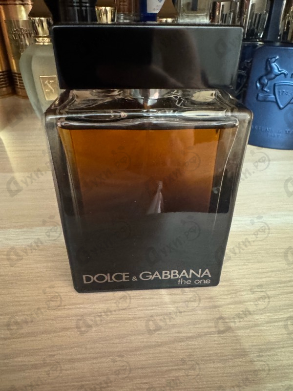 Купить The One от Dolce & Gabbana