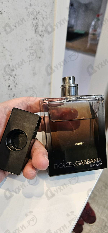 Купить Dolce & Gabbana The One