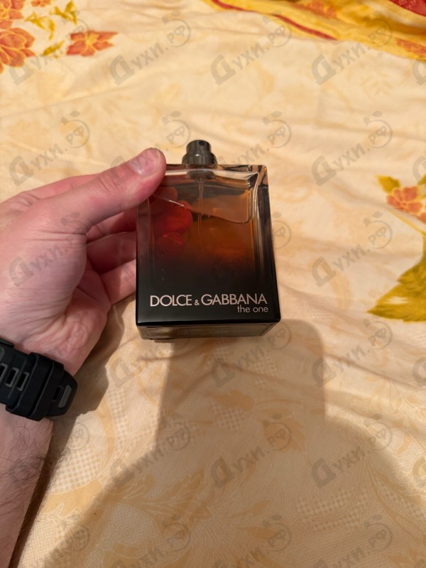 Купить The One от Dolce & Gabbana
