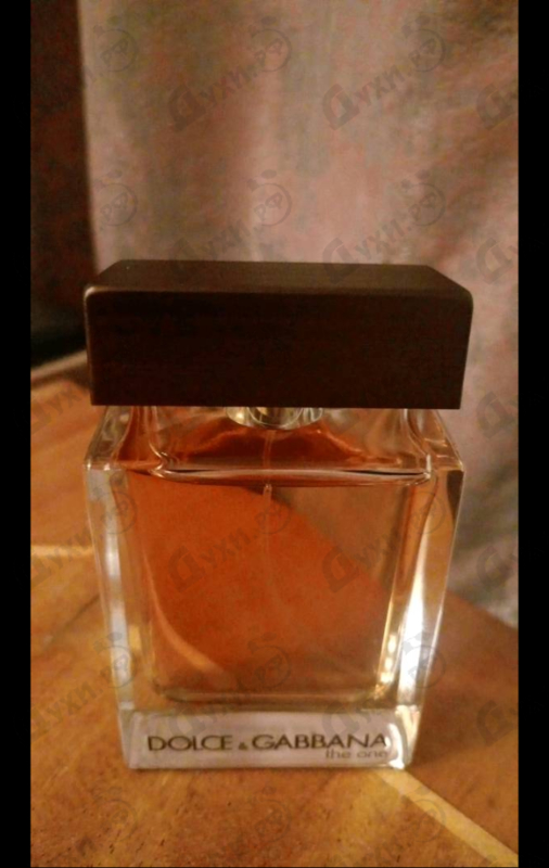 Купить The One от Dolce & Gabbana