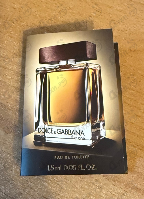 Купить The One от Dolce & Gabbana