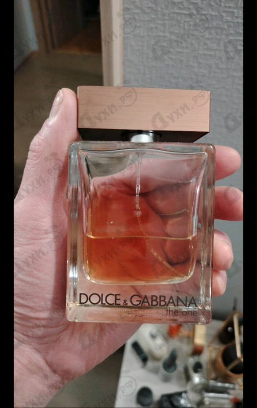 Купить Dolce & Gabbana The One