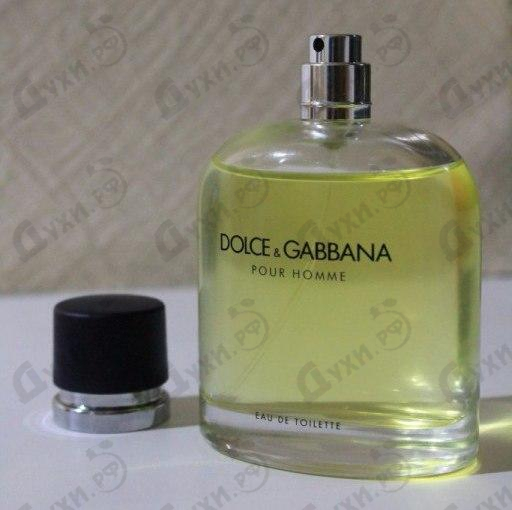 Духи Pour Homme от Dolce & Gabbana