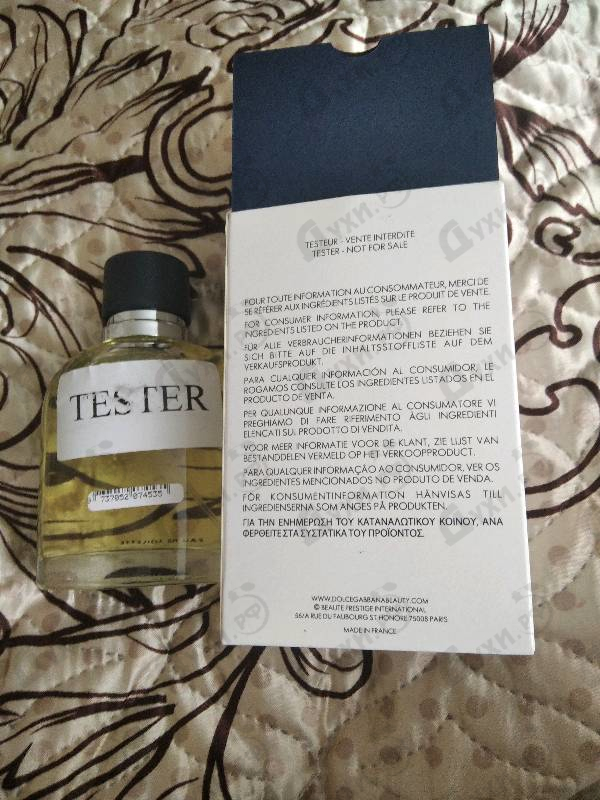 Купить Pour Homme от Dolce & Gabbana