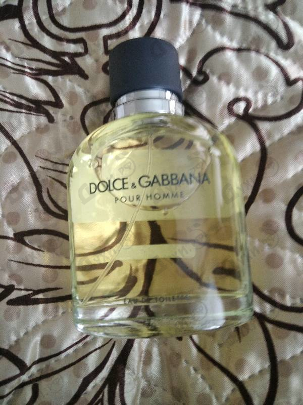 Купить Dolce & Gabbana Pour Homme