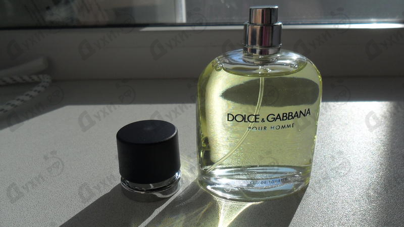 Парфюмерия Pour Homme от Dolce & Gabbana