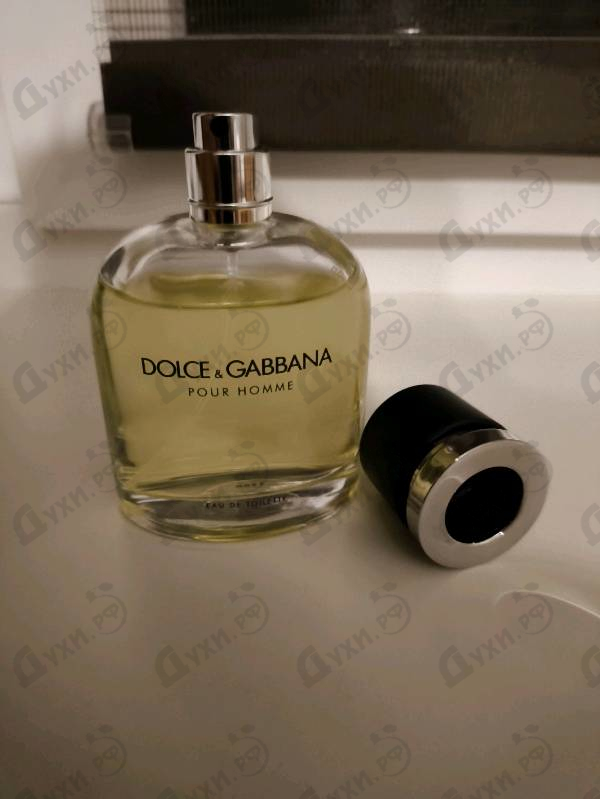 Парфюмерия Pour Homme от Dolce & Gabbana