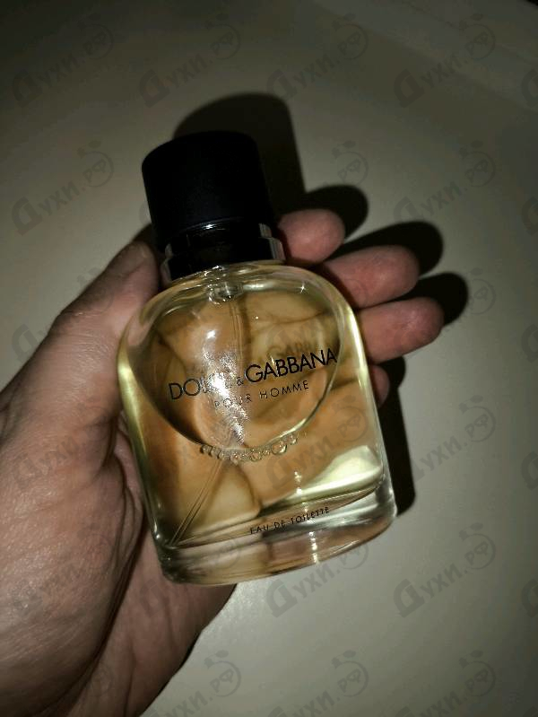Парфюмерия Pour Homme от Dolce & Gabbana