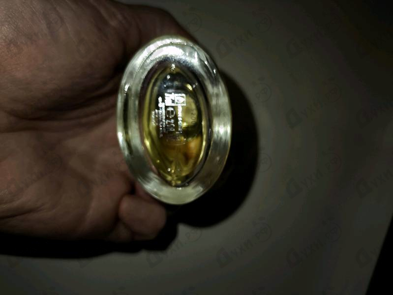 Купить Pour Homme от Dolce & Gabbana