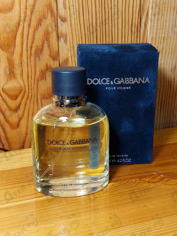 Купить Pour Homme от Dolce & Gabbana