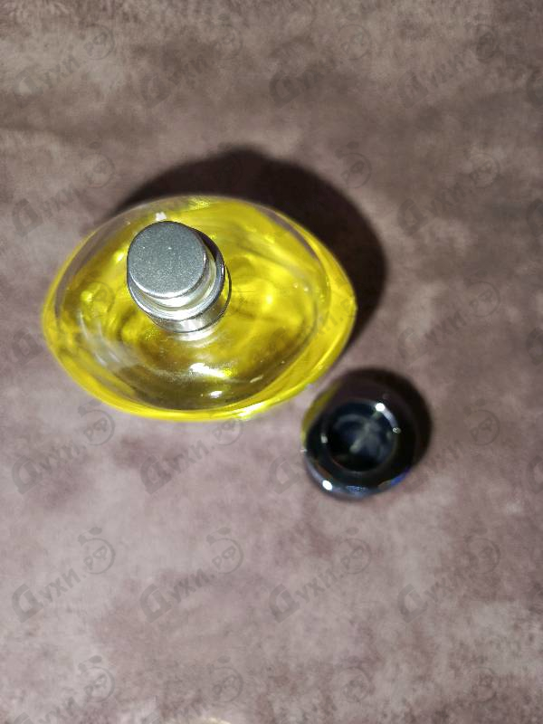 Парфюмерия Pour Homme от Dolce & Gabbana