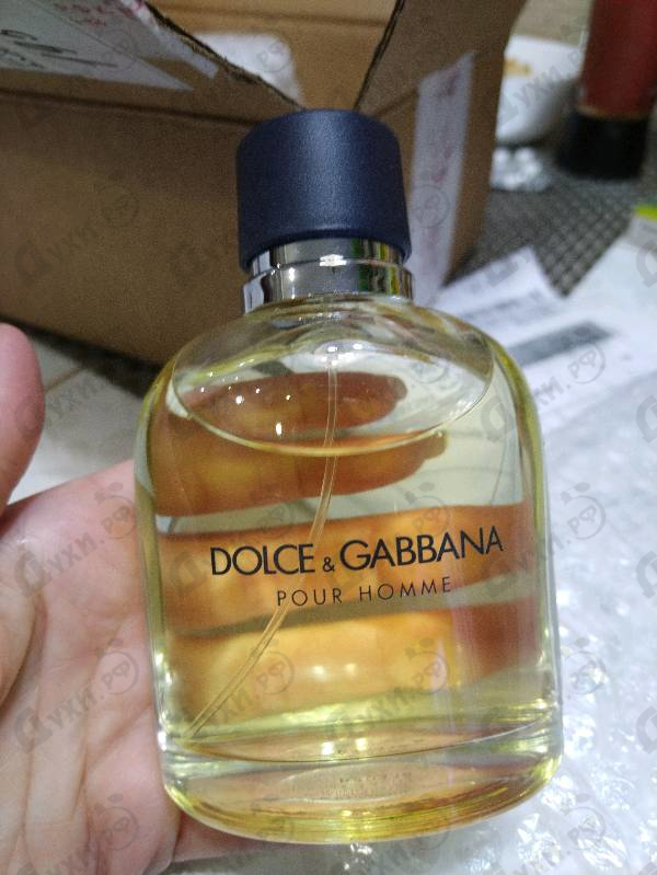 Парфюмерия Pour Homme от Dolce & Gabbana
