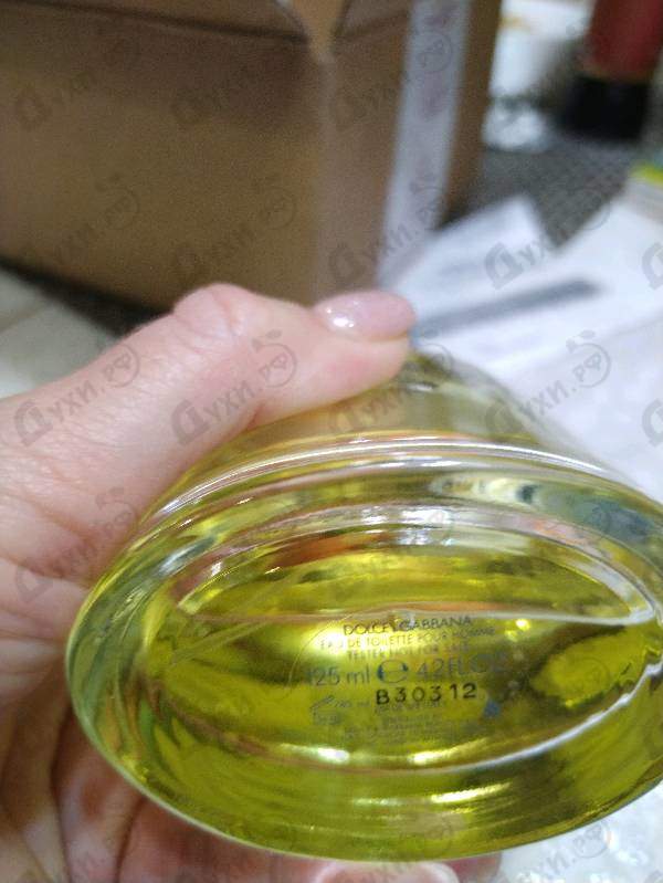 Духи Pour Homme от Dolce & Gabbana