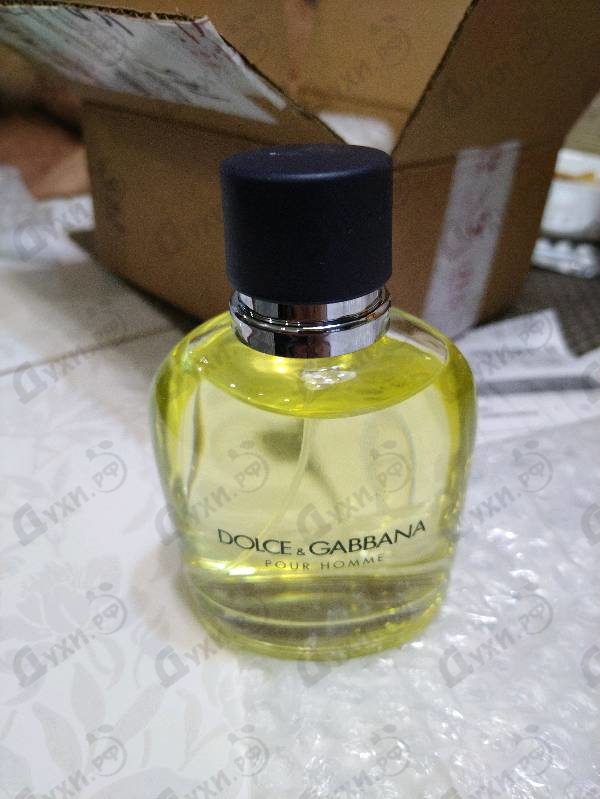 Купить Dolce & Gabbana Pour Homme