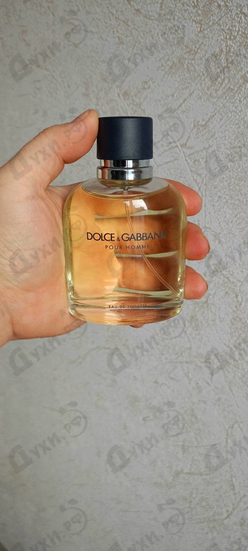 Купить Pour Homme от Dolce & Gabbana