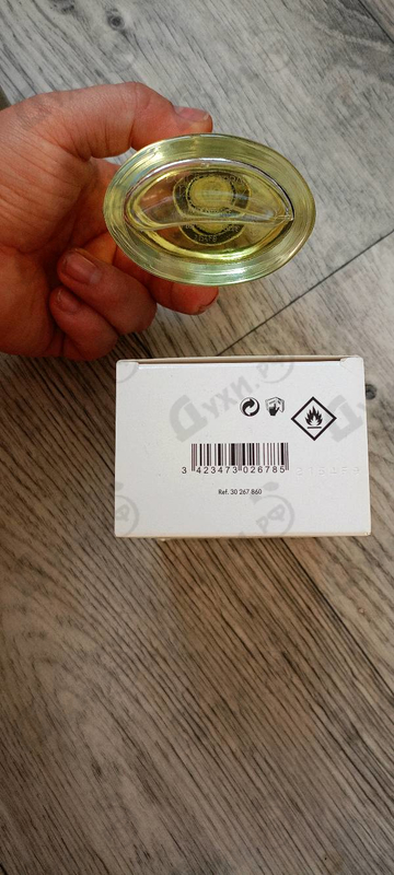 Парфюмерия Dolce & Gabbana Pour Homme