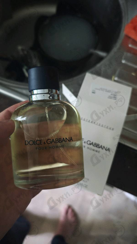 Духи Pour Homme от Dolce & Gabbana