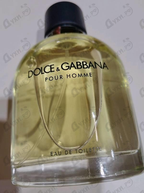 Духи Pour Homme от Dolce & Gabbana