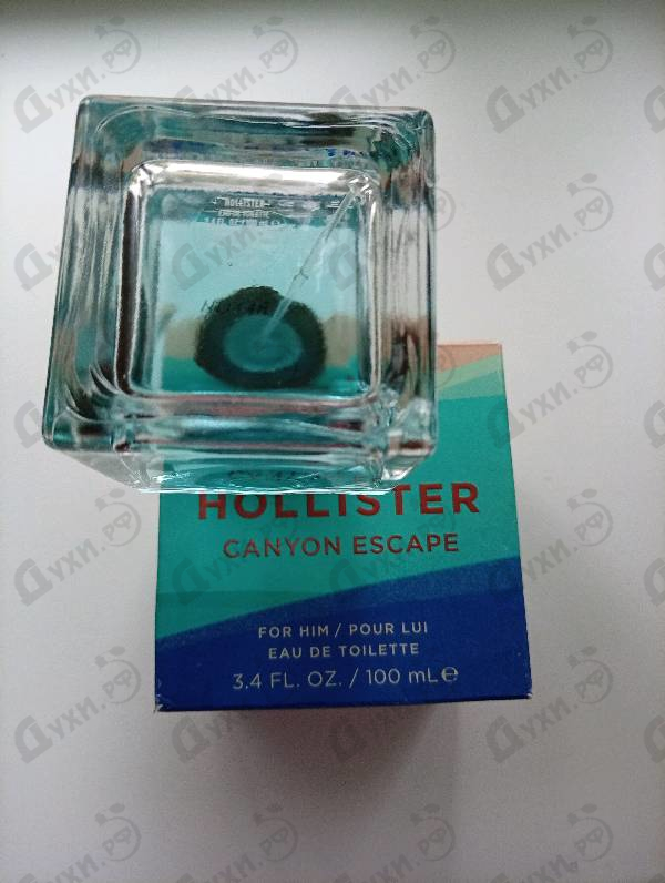 Купить Hollister Hollister Canyon Escape